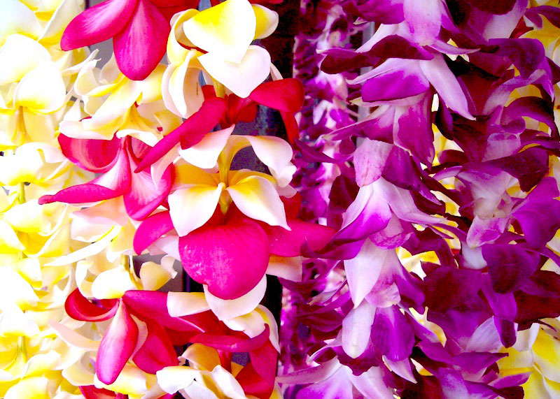 How to make a flower lei | Learn to make plumeria Lei